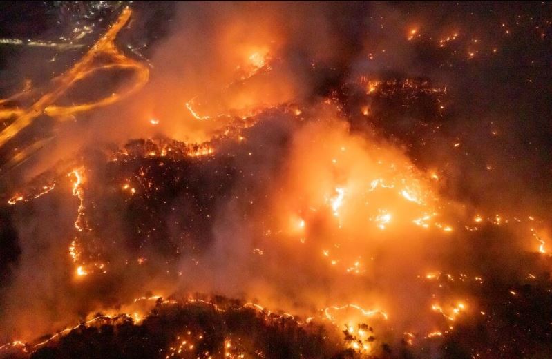 산불 관련 사진