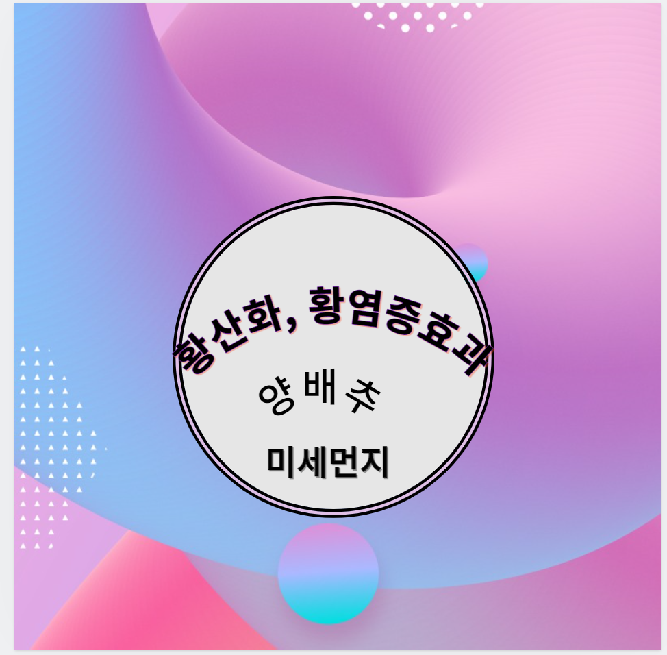 황산화 황염증에 좋은 양배추