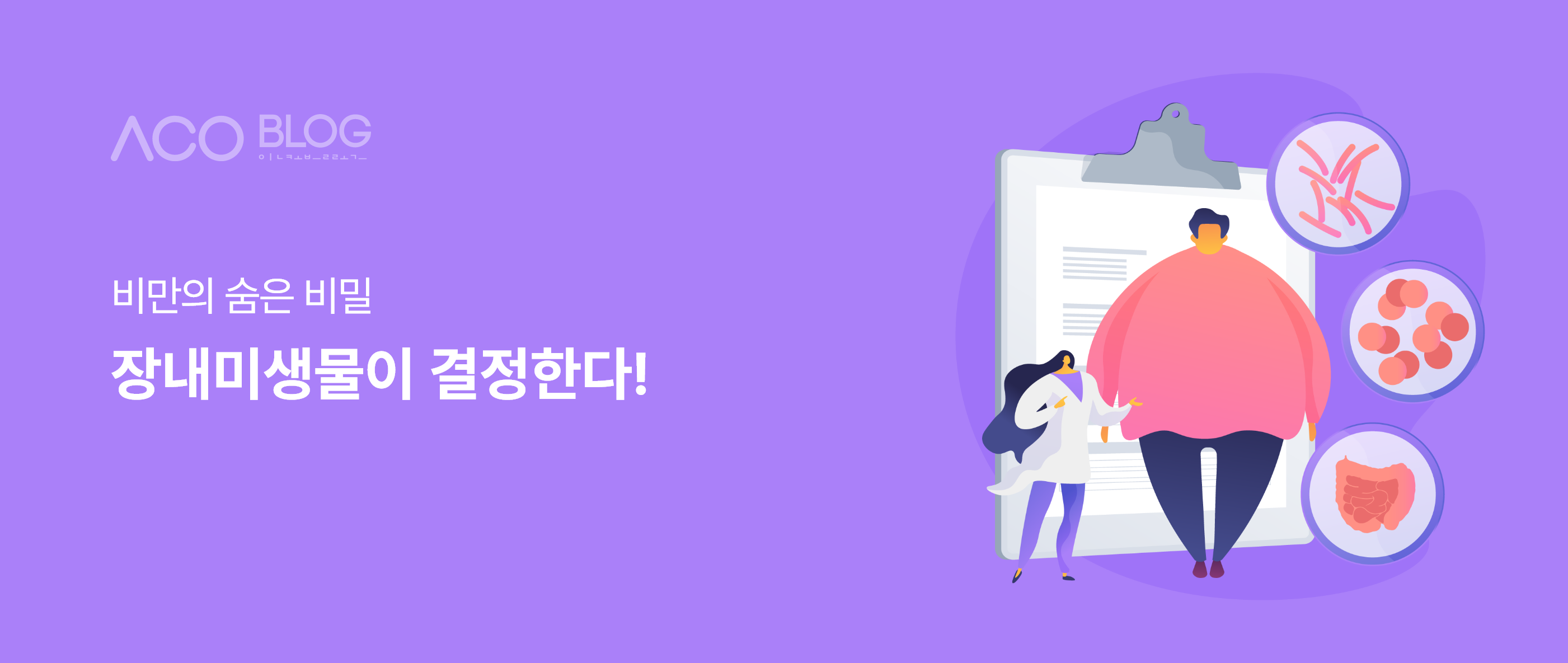 유산균, 비만