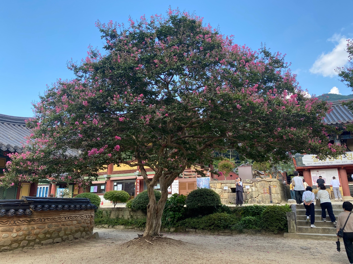 전남 순천 송광사