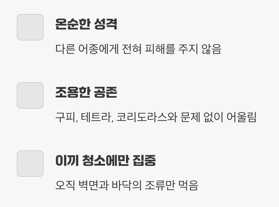 평화주의자, 다툼 없는 어항 생활