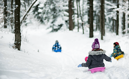 겨울방학 온가족이 즐길 수 있는 국내썰매장 BEST4