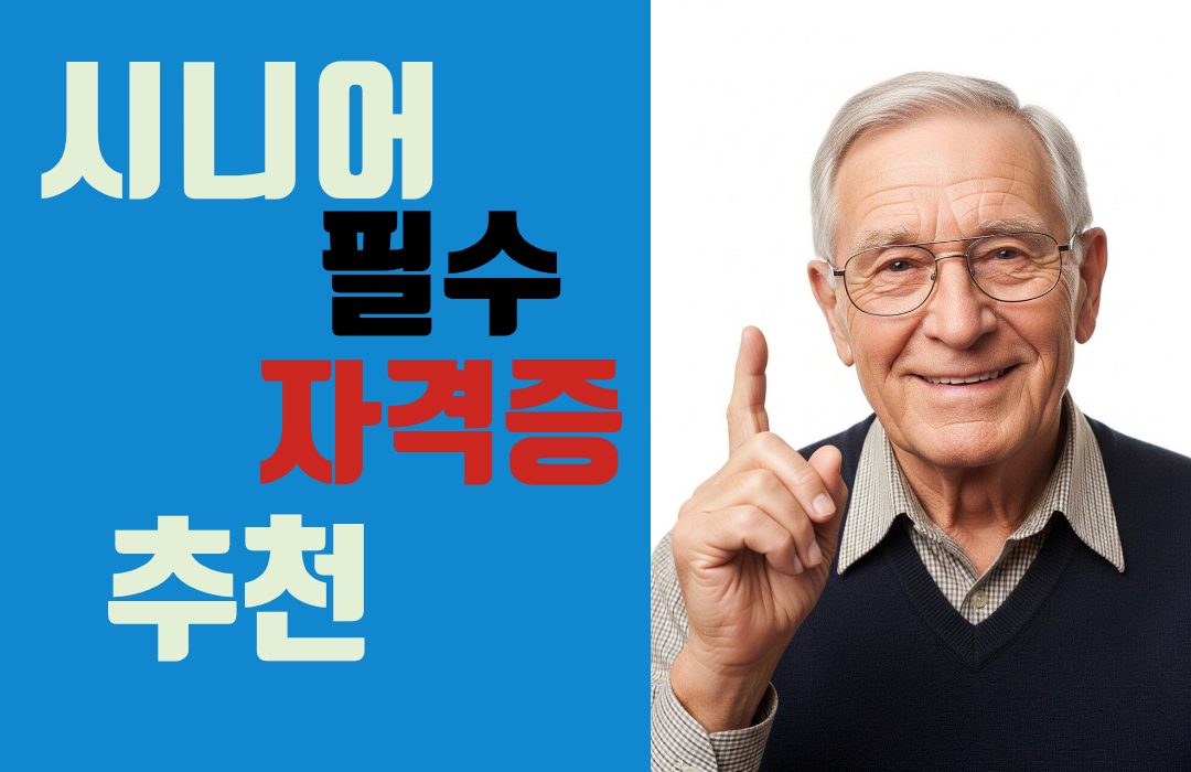 시니어 필수 자격증 5가지 완벽 정리