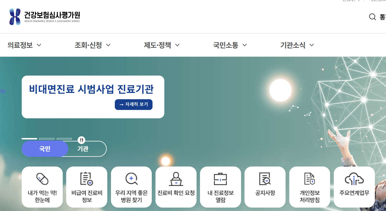 건강보홈심사평가원 진료비 확인