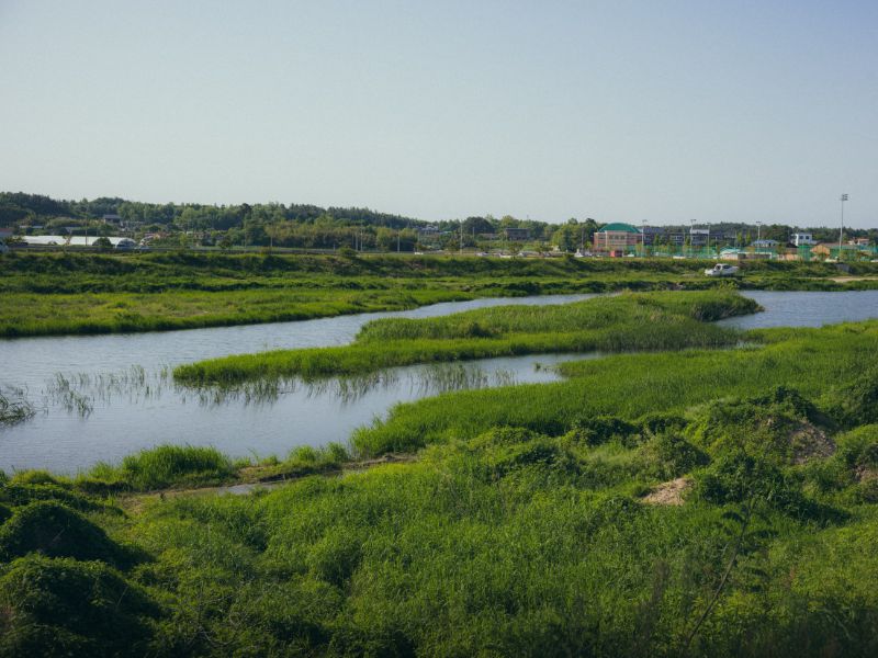 사천진해수욕장