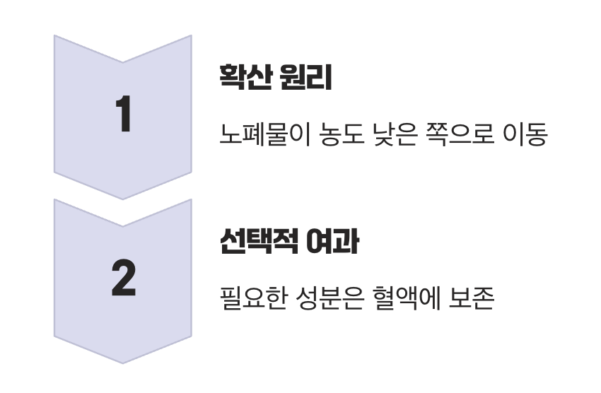 인공 신장기, 그 놀라운 작동 방식