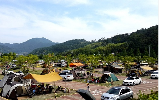 친환경 캠핑의 모든 것: 자연을 지키는 캠핑 노하우와 실천 방법