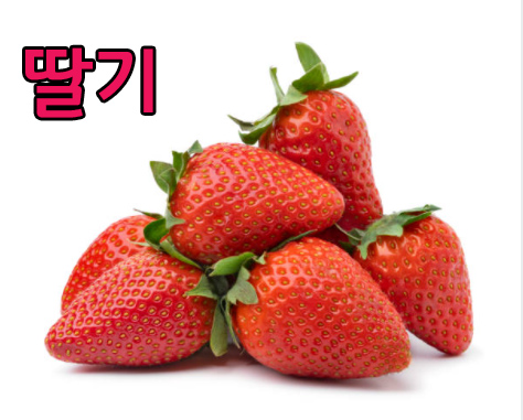 갱년기에좋은음식