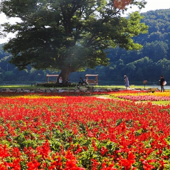 화천 가볼만한곳