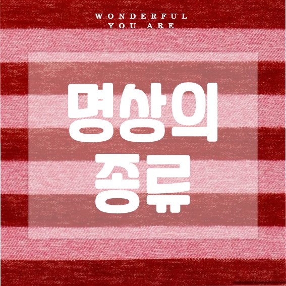 명상 종류 완벽 정리: 종류와 효과, 방법까지