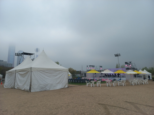 영등포 여의도 봄꽃축제