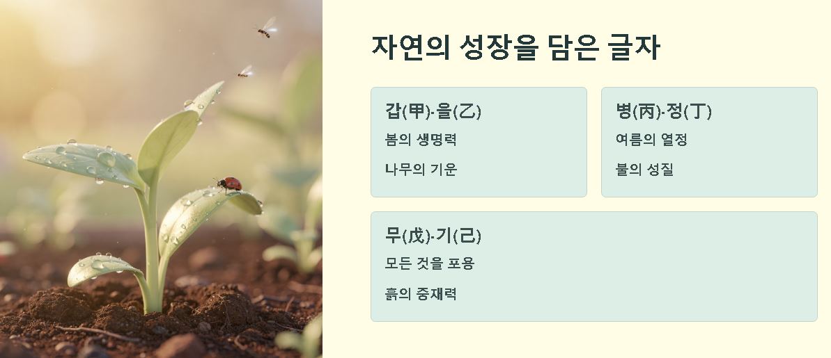 갑을병정 무기경신임계 뜻 일상 활용 사례