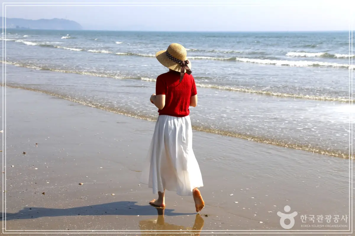 batch_7a223eba-be25-4a29-a69e-53fa2616ba7f