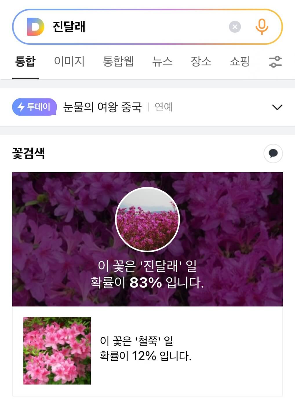 다음 꽃검색