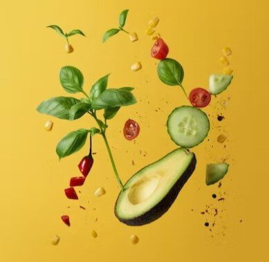 위 식도 역류 질환 원인