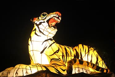 [4월 축제] 2025 부산연등회❘부처님 오시는 날 연등축제, 연등행렬구간, 프로그램, 일정