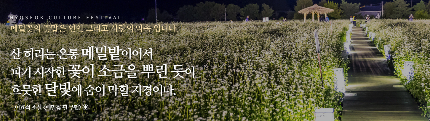 평창 효석문화제 2025 입장료 교통 프로그램