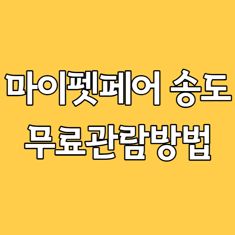 마이펫페어 송도