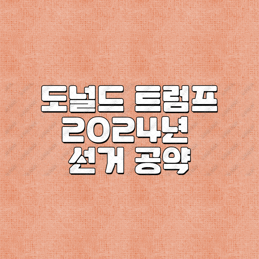 도널드 트럼프 2024년 선거 공약