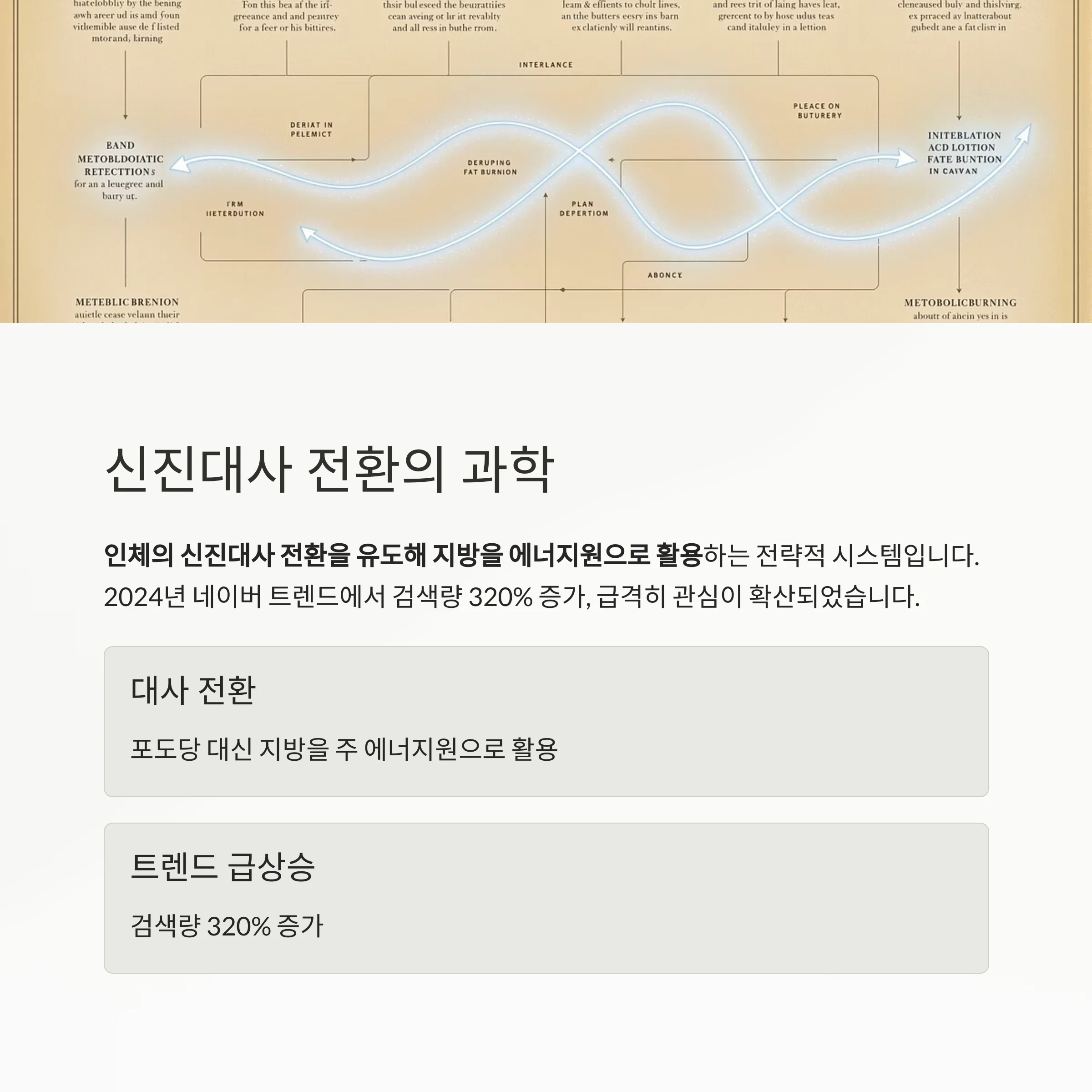 신진대사 스위치를 켜라: 스위치온 다이어트