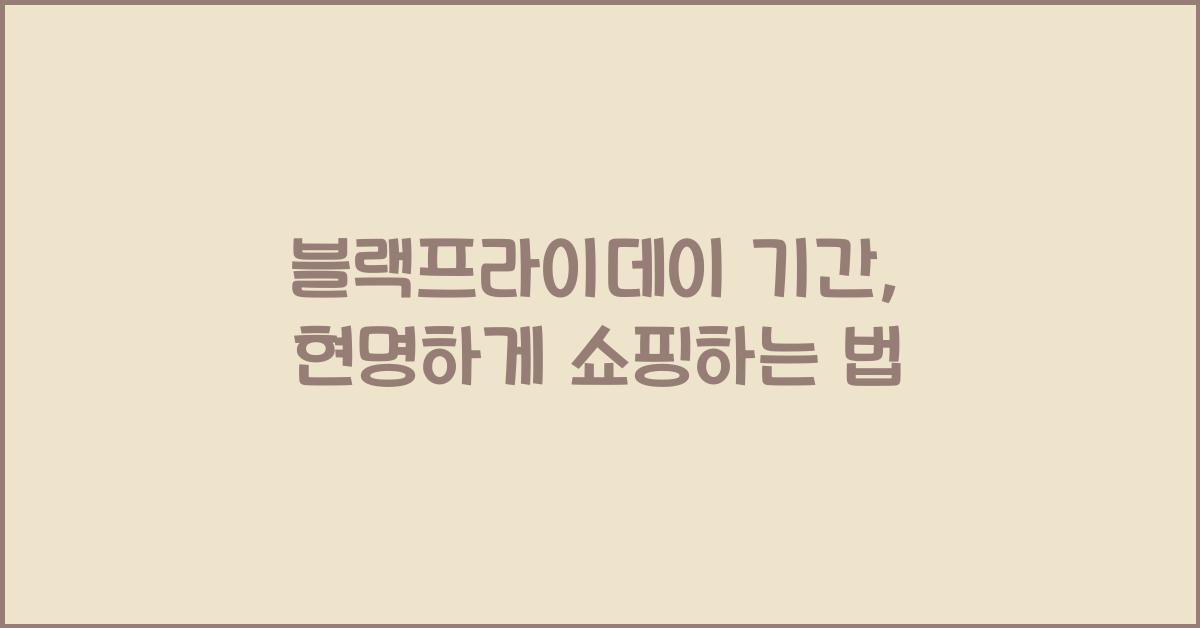 블랙프라이데이 기간