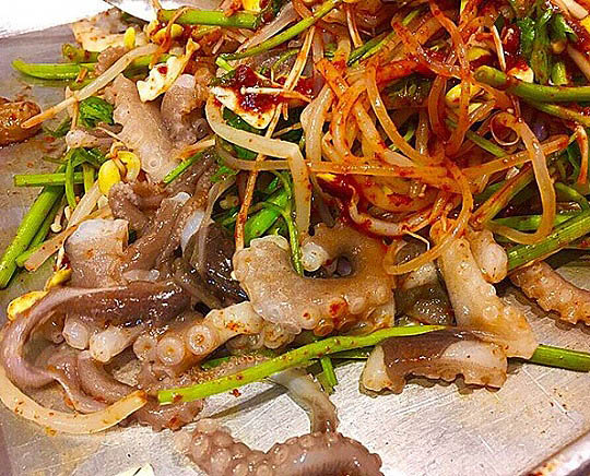 을지로입구 산낙지 '무교동 목포세발낙지'