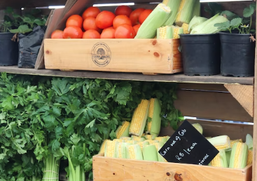 토마토와 야채의 함께 섭취