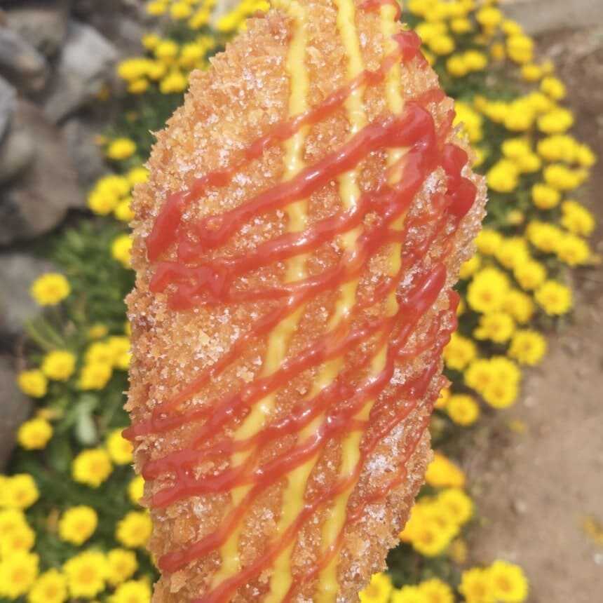 가파도 김진현 핫도그