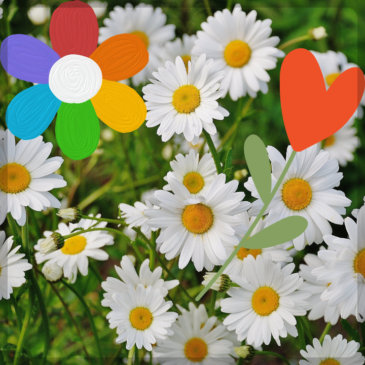 카멜리아힐-입장료