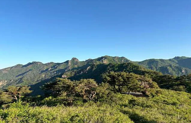 우두산