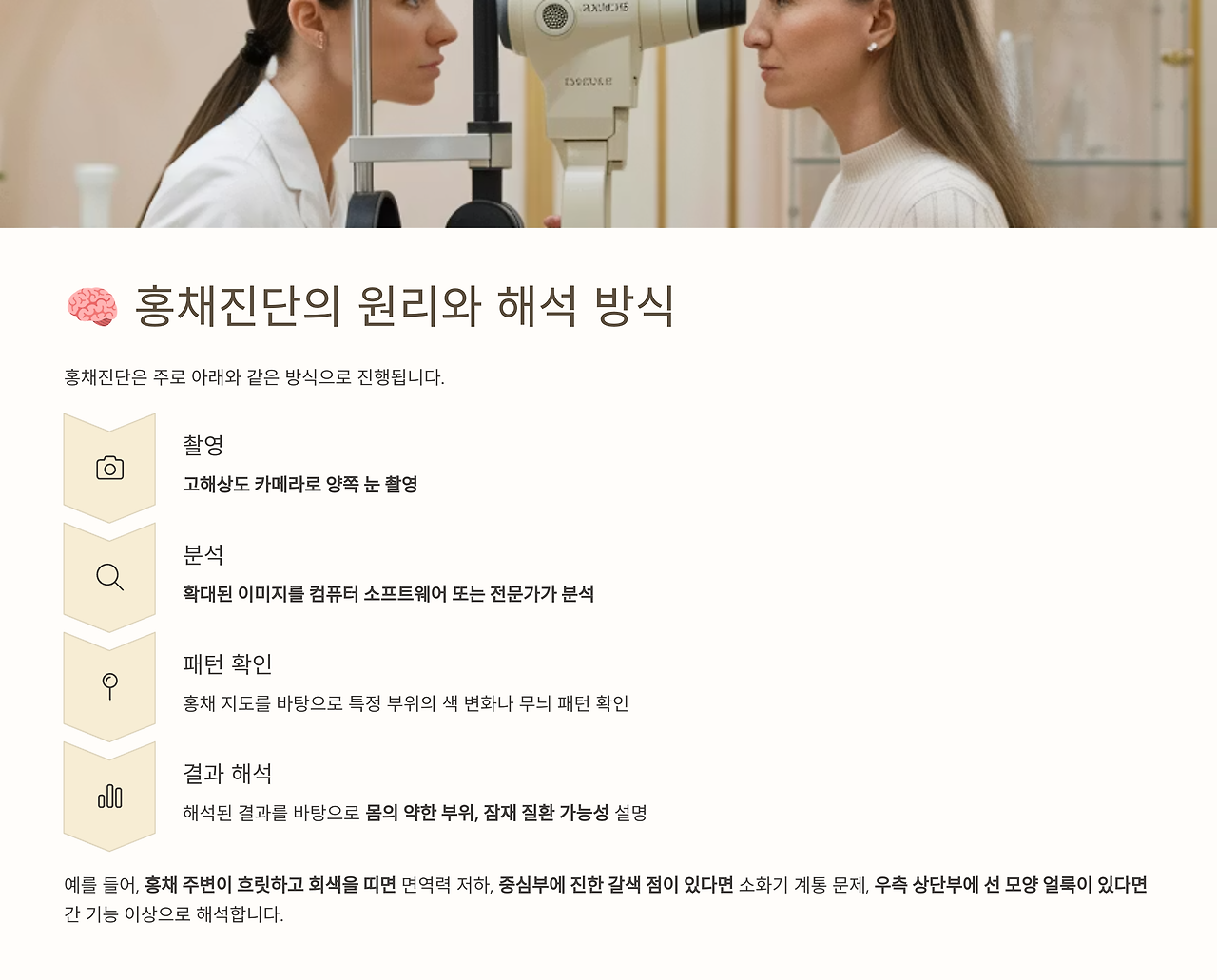 홍체 진단의 원리와 해석 방식