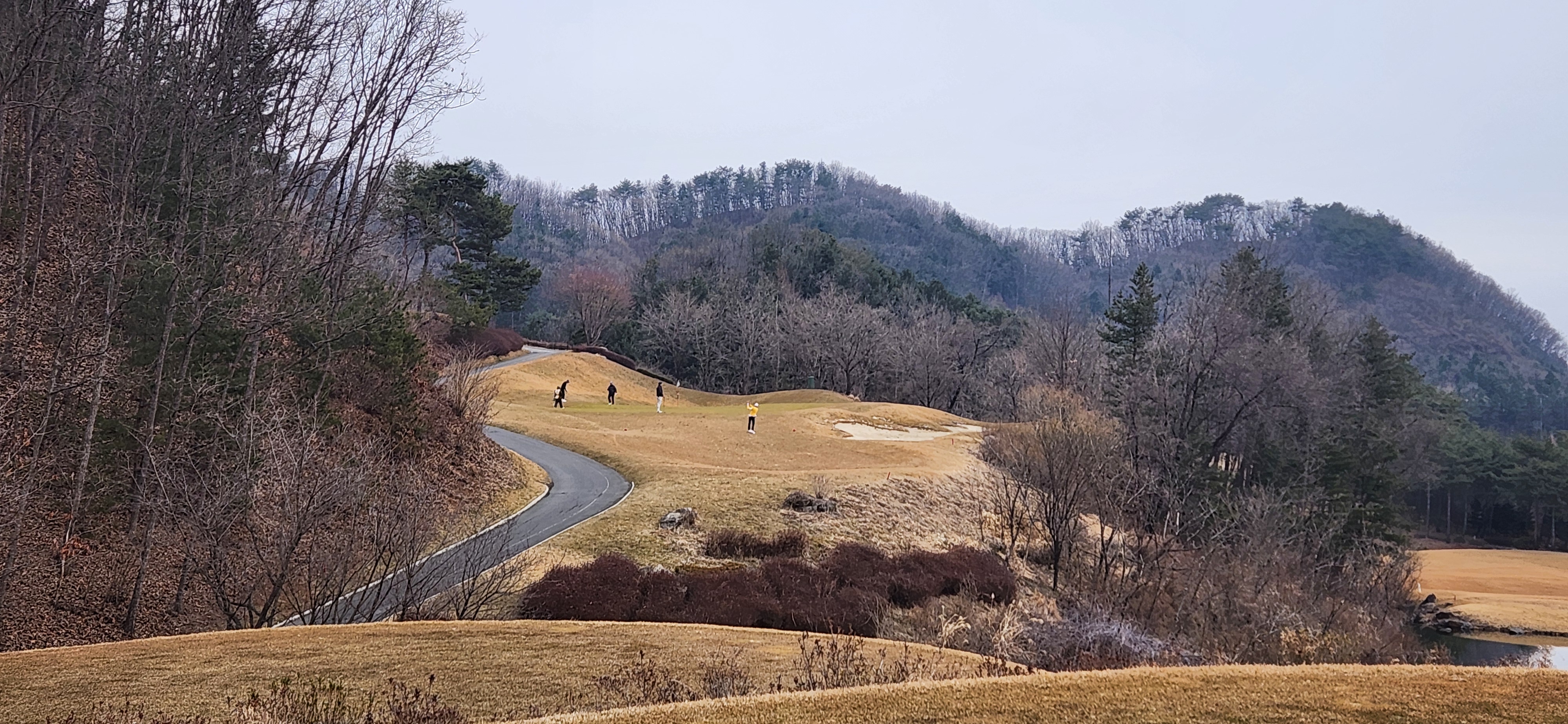 힐드로사이cc
