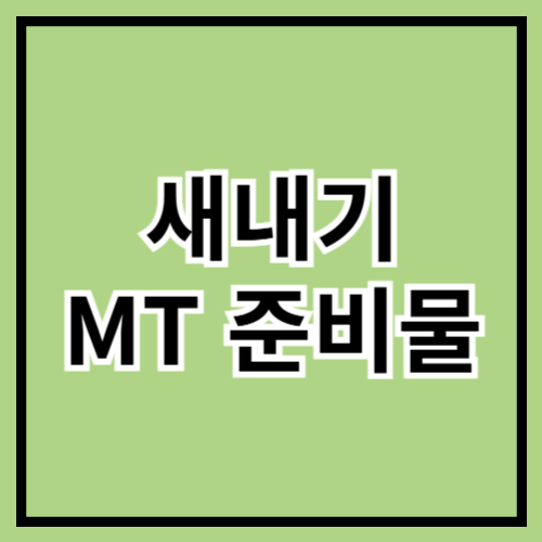 🎒 2025 새내기 MT 준비물 체크리스트! 🌸✨