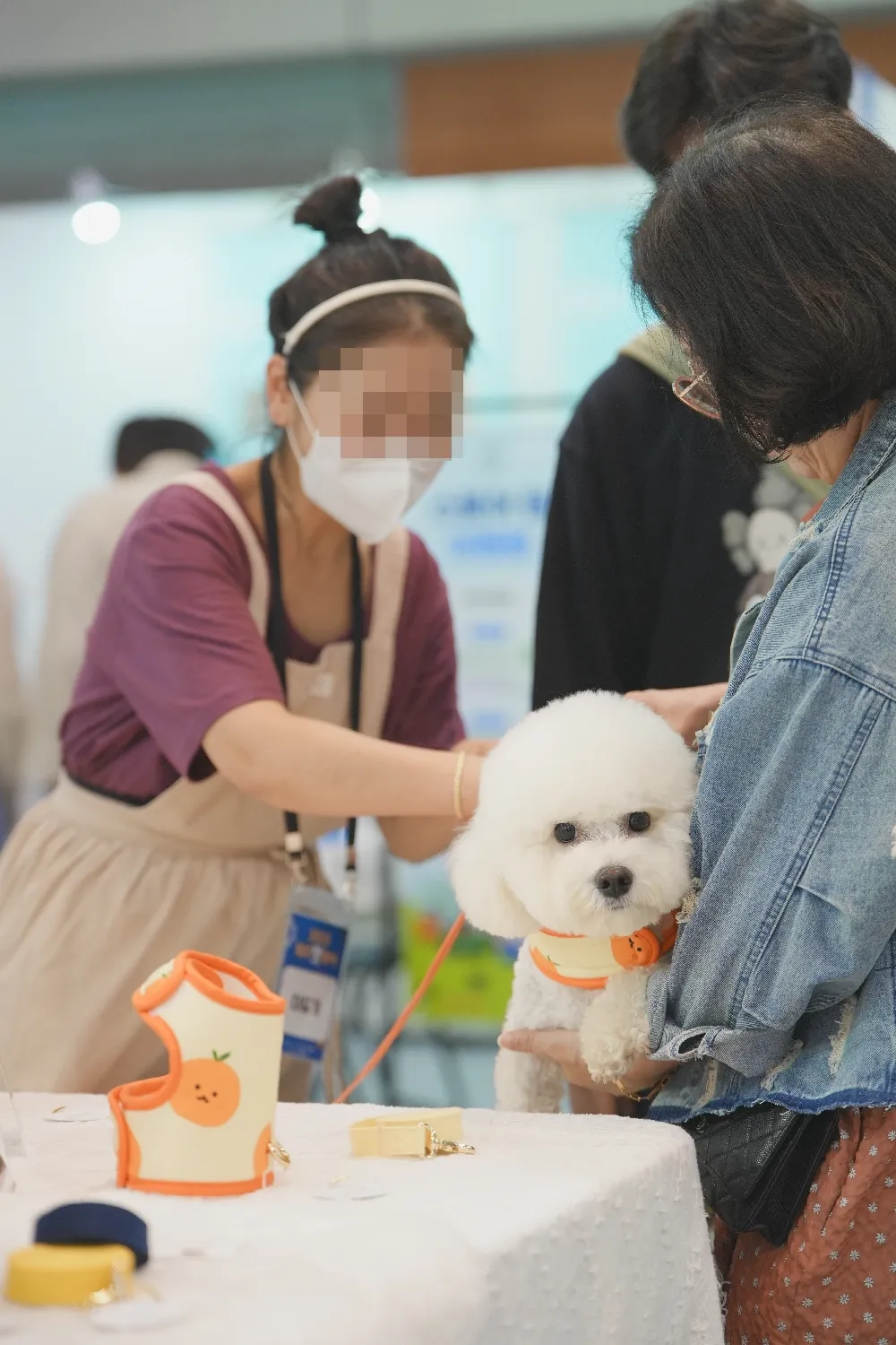 2024 제주 펫페어 국제컨벤션센터 반려견 이벤트 행사 입장권 가격 사전 등록 풍이 언더월드