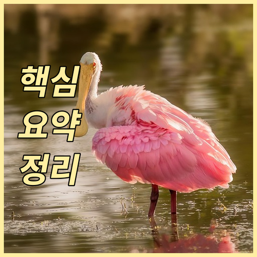 마포 염리동 생활 폐기물 배출 요일 ..