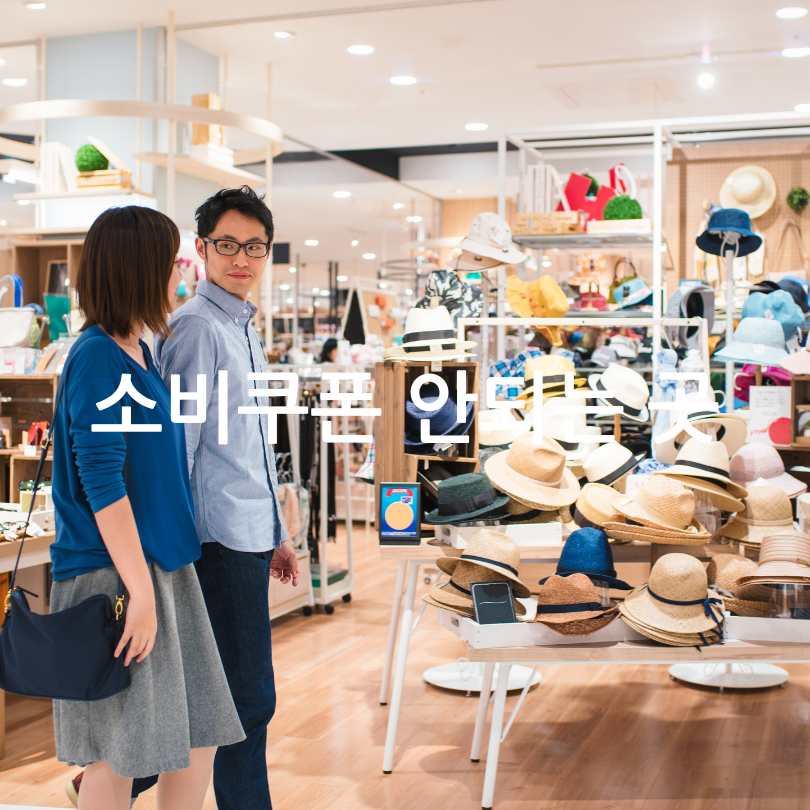 민생회복 소비쿠폰 사용처