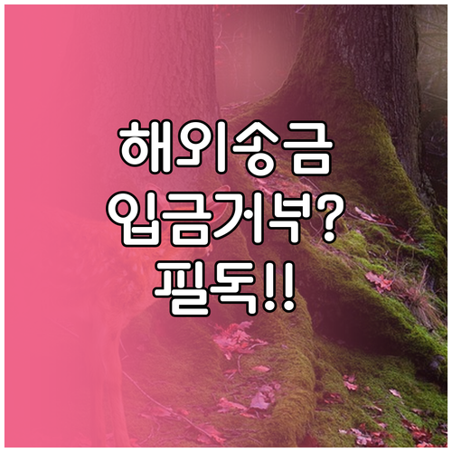행복지킴이통장 해외송금 입금 제한 및..