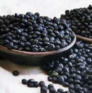 검은콩 효능