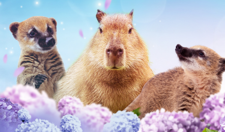 대구 네이처파크