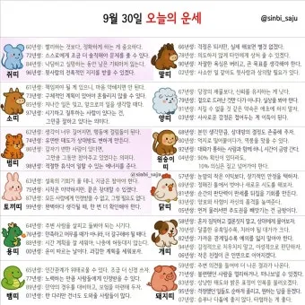 부산일보 오늘의 운세 띠별 운세와 무료 운세 이용법_8