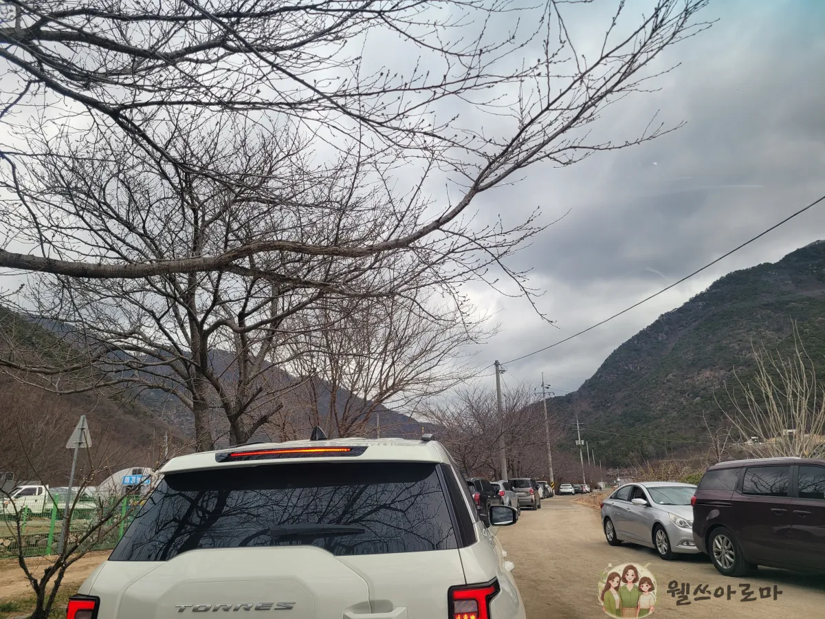 미나리삽겹살-3번집-주차장