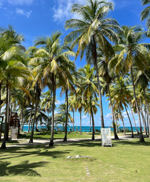 베트남 여행하기 좋은 계절