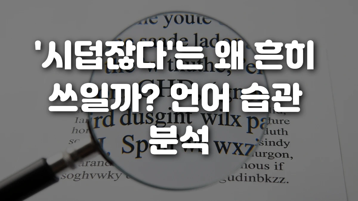 시덥잖다 는 왜 흔히 쓰일까 언어 습관 분석