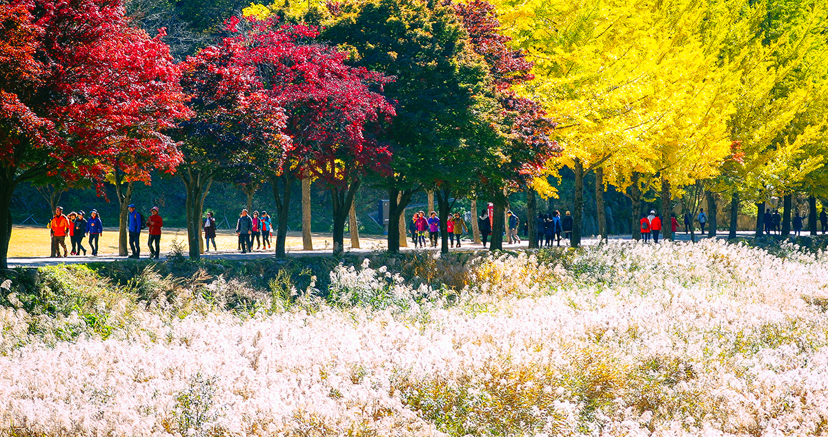 문경새재 도립공원 - 힐링 트레킹 1번지