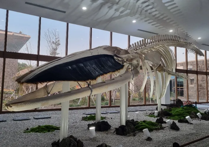 아이와 제주 여행 제주 민속 자연사박물관 예매 코스 가이드_6