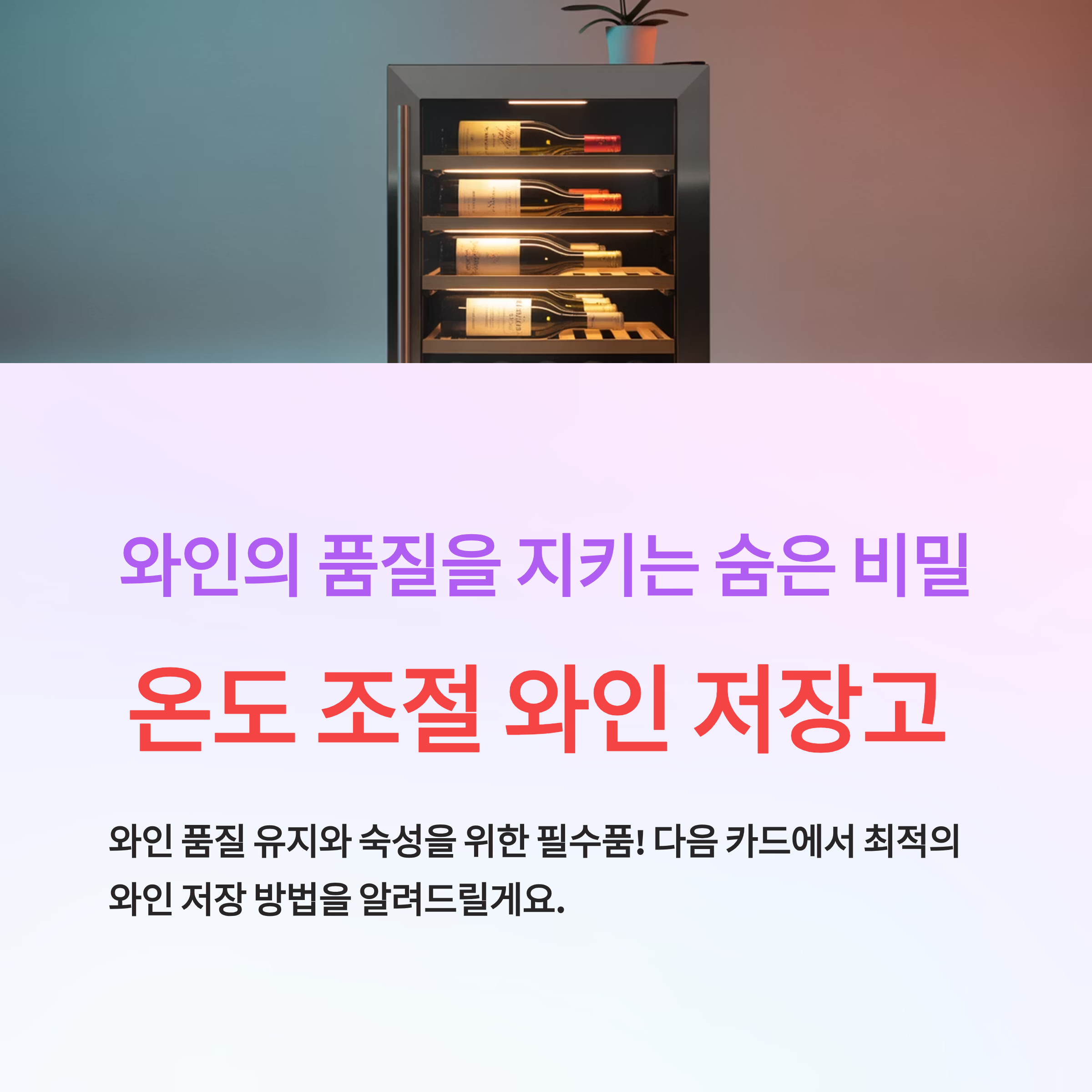 온도 조절 와인 저장고