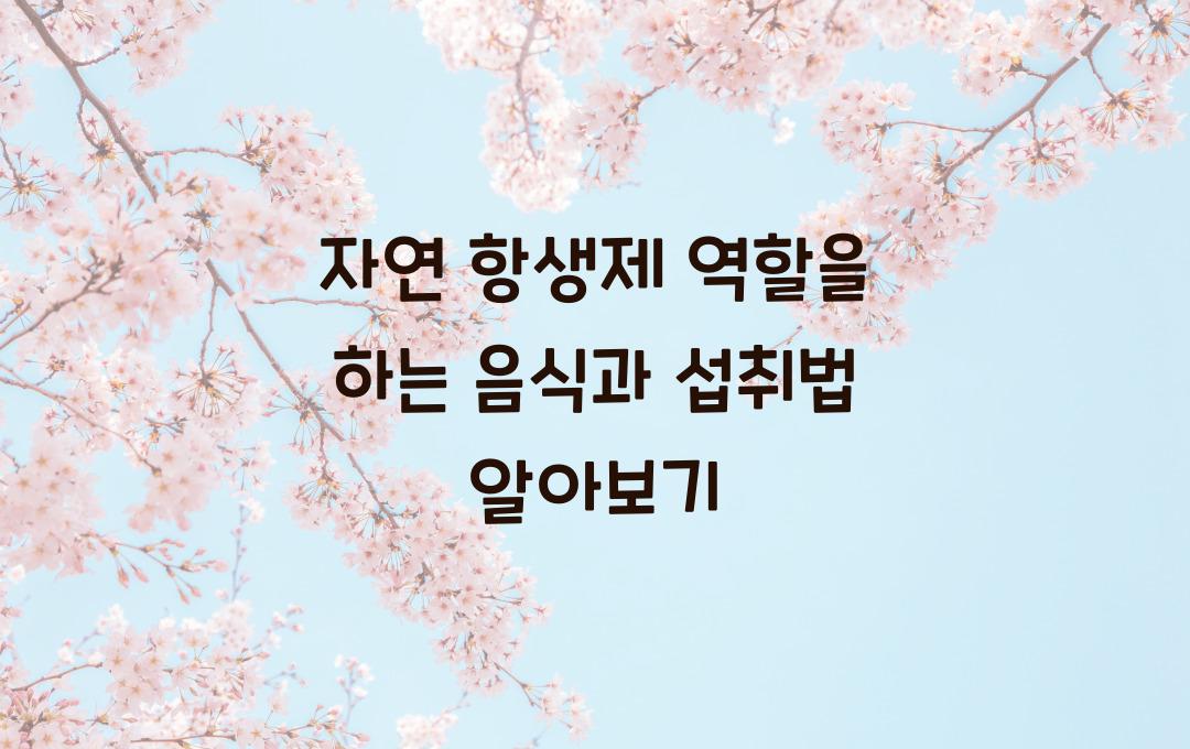 자연 항생제 역할을 하는 음식 & 효과적인 섭취법