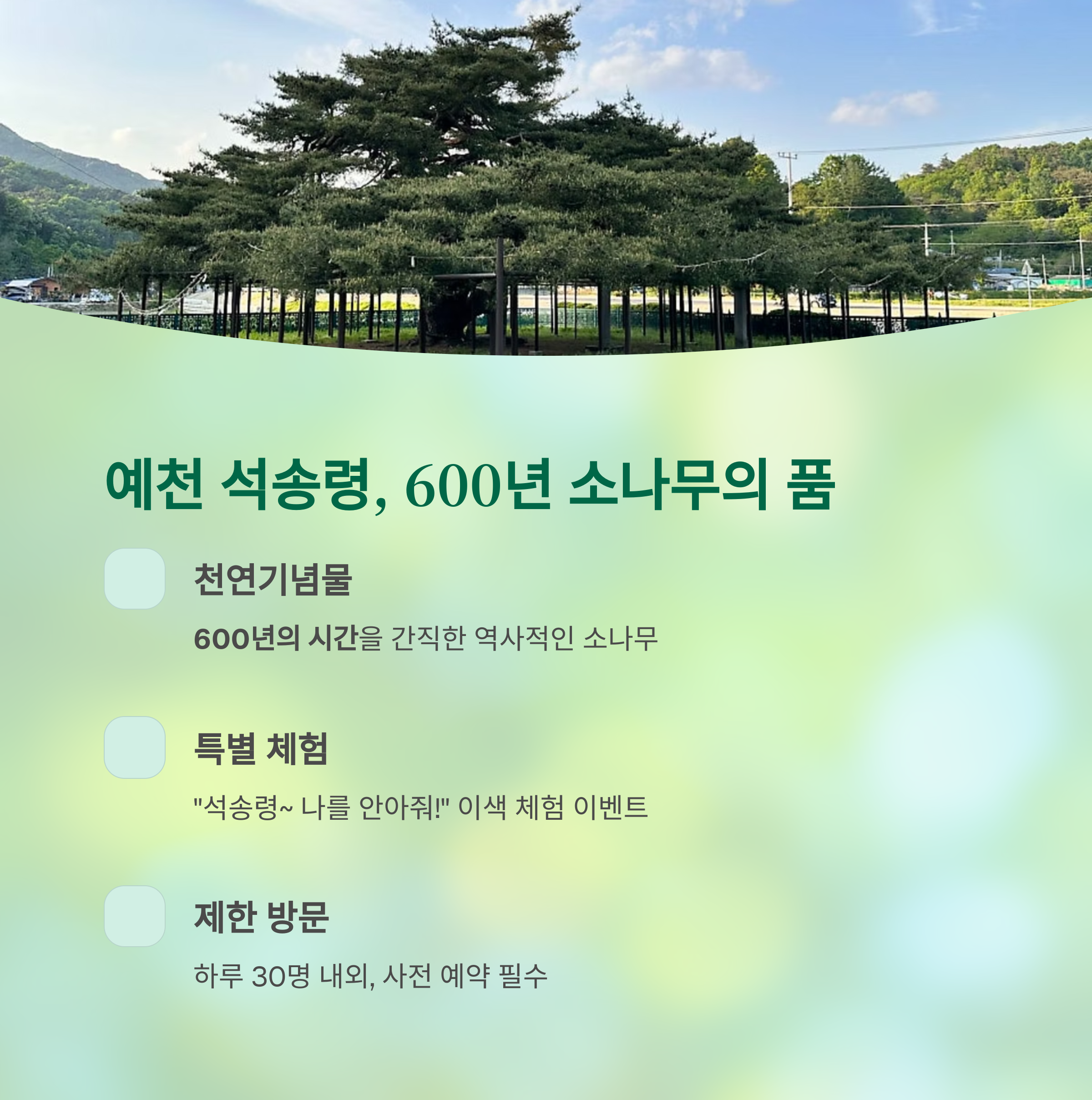 예천 석송령