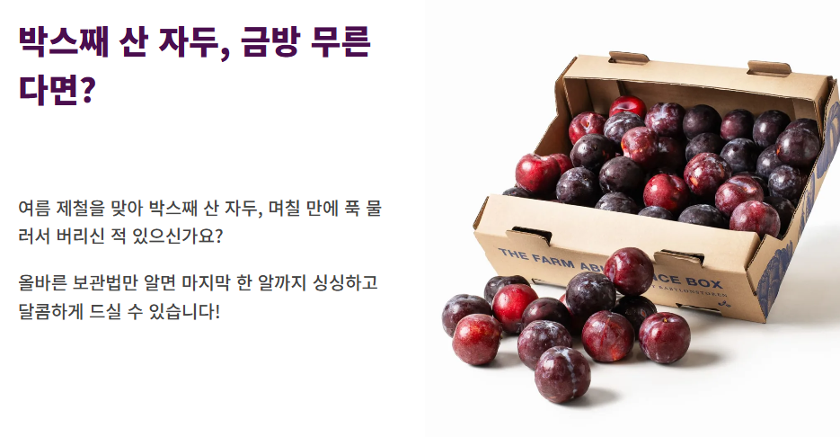 자두 보관방법