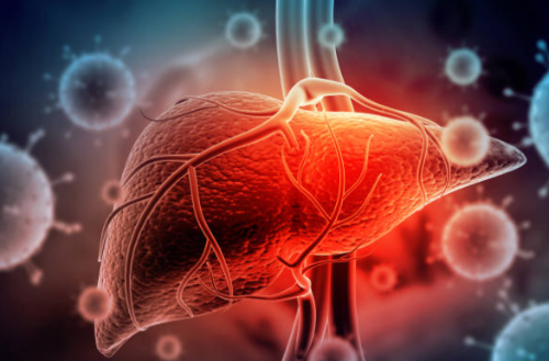 간수치 정상범위 간수치 300 1000